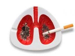 Курение -  как фактор риска развития  хронических обструктивных заболеваний и рака лёгких
